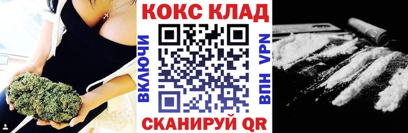 где продают наркотики  Дорогобуж  Cocaine 98% 