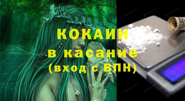ешки Аркадак