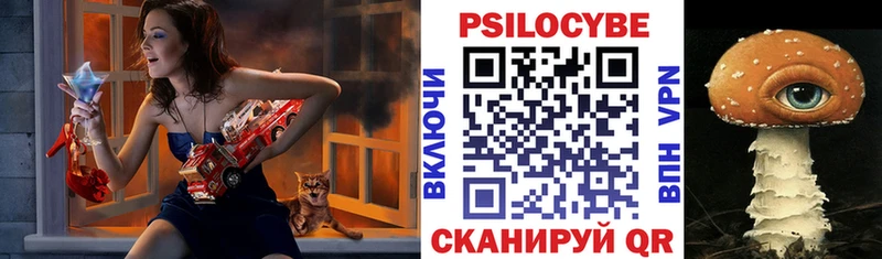 Псилоцибиновые грибы Psilocybe  Дорогобуж 